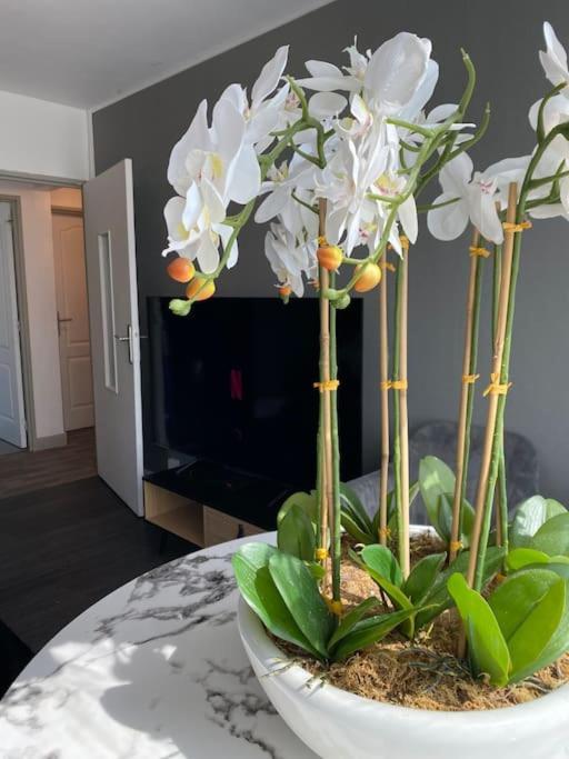 Appartement Familial Wifi Netflix Amazon Prime Saint-Cyr-lʼÉcole Extérieur photo